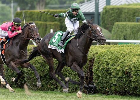 Clement Stable